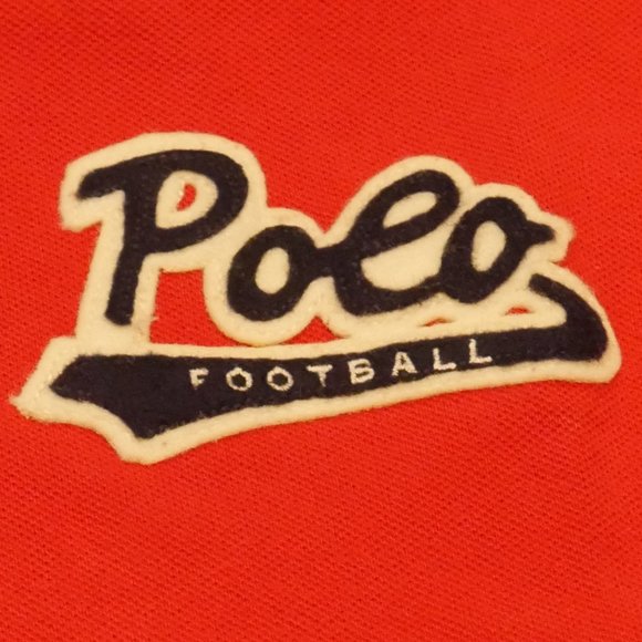 🚫SOLD🚫Rare Limited Edition Polo Ralph Lauren Tiger Collegiate Polo Size XL - Picture 3 of 8